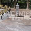 Photo Thumbnail
